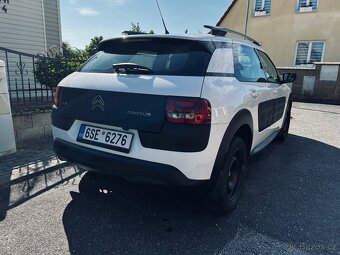 C4 Cactus - 5