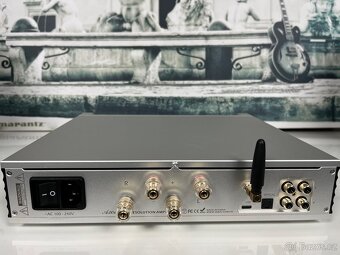 Sabaj A30a - 5