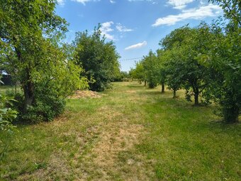 Prodám zahradu - 5