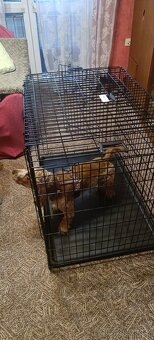 Kvalitní klec pro psa - 5