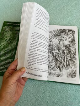 Magické střípky Andrzej Sapkowski - 5