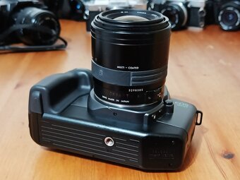 CANON EOS 600 (Sigma 28-70mm) - 1989 - 5