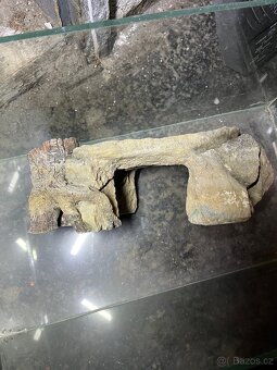 Skleněné akvárium - 5