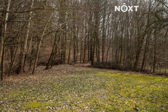 Prodej pozemek Bydlení, 3989㎡ - 5