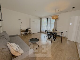 Pronájem bytu 1+kk, 40 m2 - Praha - Žižkov, ev.č. N08054 - 5