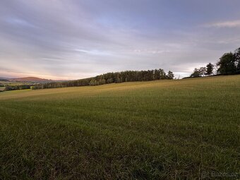 Prodej lesa 880m2 Radkovice - 5