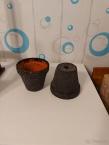 Terárium - 5