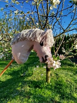 Hobby horse - 5