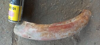 Blatník asi Jawa - 5