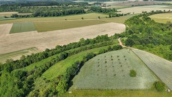 Prodej 1/4 pozemku, Bechlín - 5