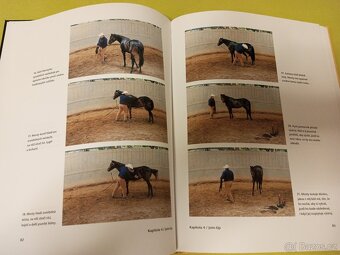 Monty Roberts - Průvodce nenásilným výcvikem koní - 5