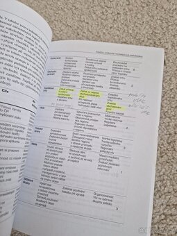 Strategicke rizeni Kerkovsky Vykypel - 5