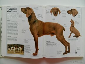 Velká kniha o psech - 5