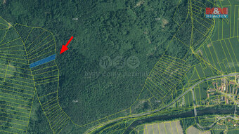 Prodej lesa, 8758 m², Čepice - 5