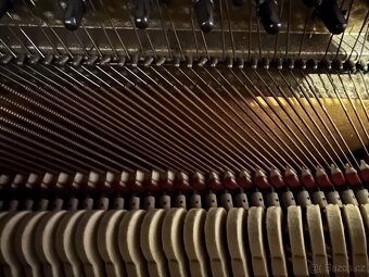 Piano A. Grand - 5