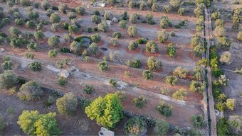 Pozemek 10.000m2 s možností stavět🇮🇹 - 5