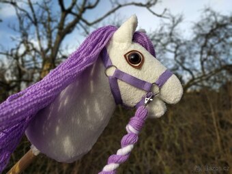 Hobby horse - 5