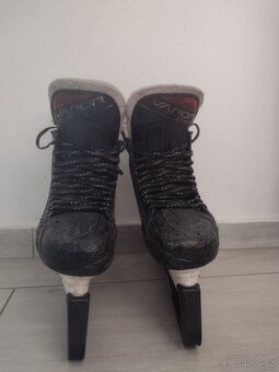 Brusle Bauer Vapor 3x Pro - 5