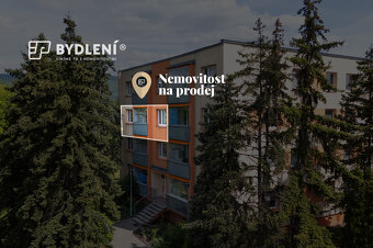 Prostorný a světlý byt 3+1+L po rekonstrukci v klidné lokali - 5