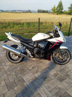 Suzuki GSX650F - 5