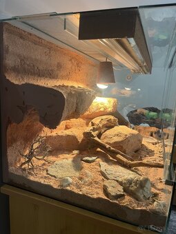 Nabízím terárium - 5