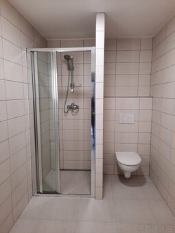 Byt 1+1 Janov nad Nisou - 5