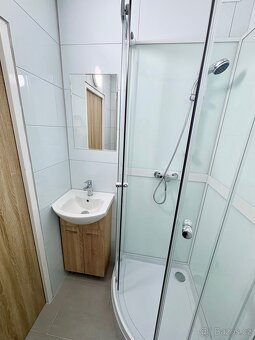 Pronájem bytu 2+1, 51 m², ČSA 11 - 5