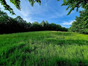 Pozemek Dolní Paseky Rožnov pod Radhoštěm 2926m2 - 5