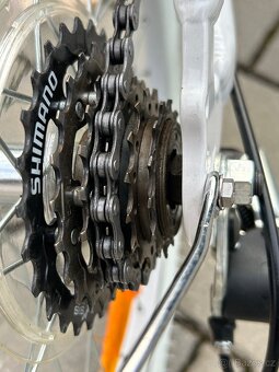 Dívčí kolo Author Melody - 5