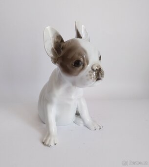 Porcelánová figura francouzského buldočka - Rosenthal - 5