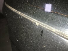 dveře + výřezy kastle Passat b5.5 - 5