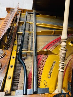 Piano Křídlo - 5