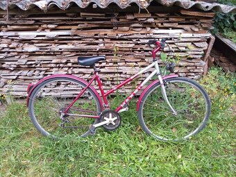 Max bike 19 - 5