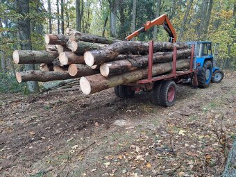 Vyvazecka dřeva +zetor Crystal 8011. - 5