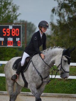 Valach do sportu - 5