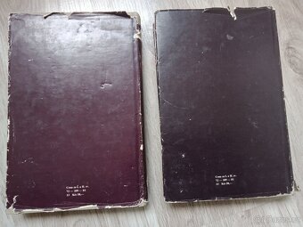 Antológia sovietskej poézie XX. storočia, 1981 - 5