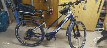 Crussis One Oli Cross lady - 5