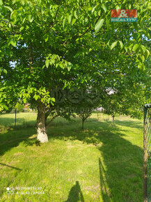 Prodej pozemku k bydlení, 1350 m², Mikulovice - 5