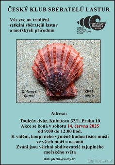 Pexeso s ulity exotických, suchozemských plžů, NOVÉ - 5
