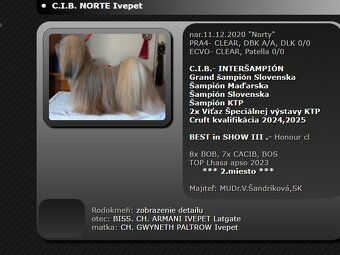 Prodám štěňátka Lhasa Apso - 5