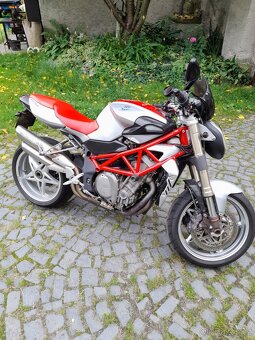 MV Agusta Brutale 910 - 5