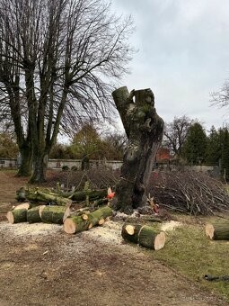 Rizikové kácen,ošetřování stromu a realizace zahrad - 5