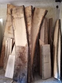 Fošny a hranolky přes 60 druhů exotiky i českých dřevin - 5