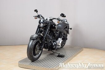 Harley-Davidson FLSTFB Fat Boy Lo 2010 - 5