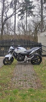 Honda Hornet CB600F - 5