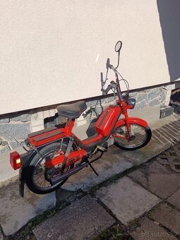 Babetta - 5
