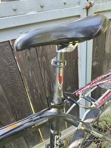 Horské kolo Kellys Salamander - 5