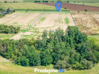 Prodej pozemku 9 718 m², Dyje, ev.č. 100004 - 5