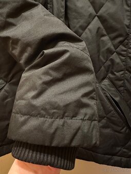 Puma bunda jarni - 5