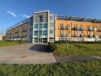 Pronájem bytu 1+kk v Šumperku. - 5